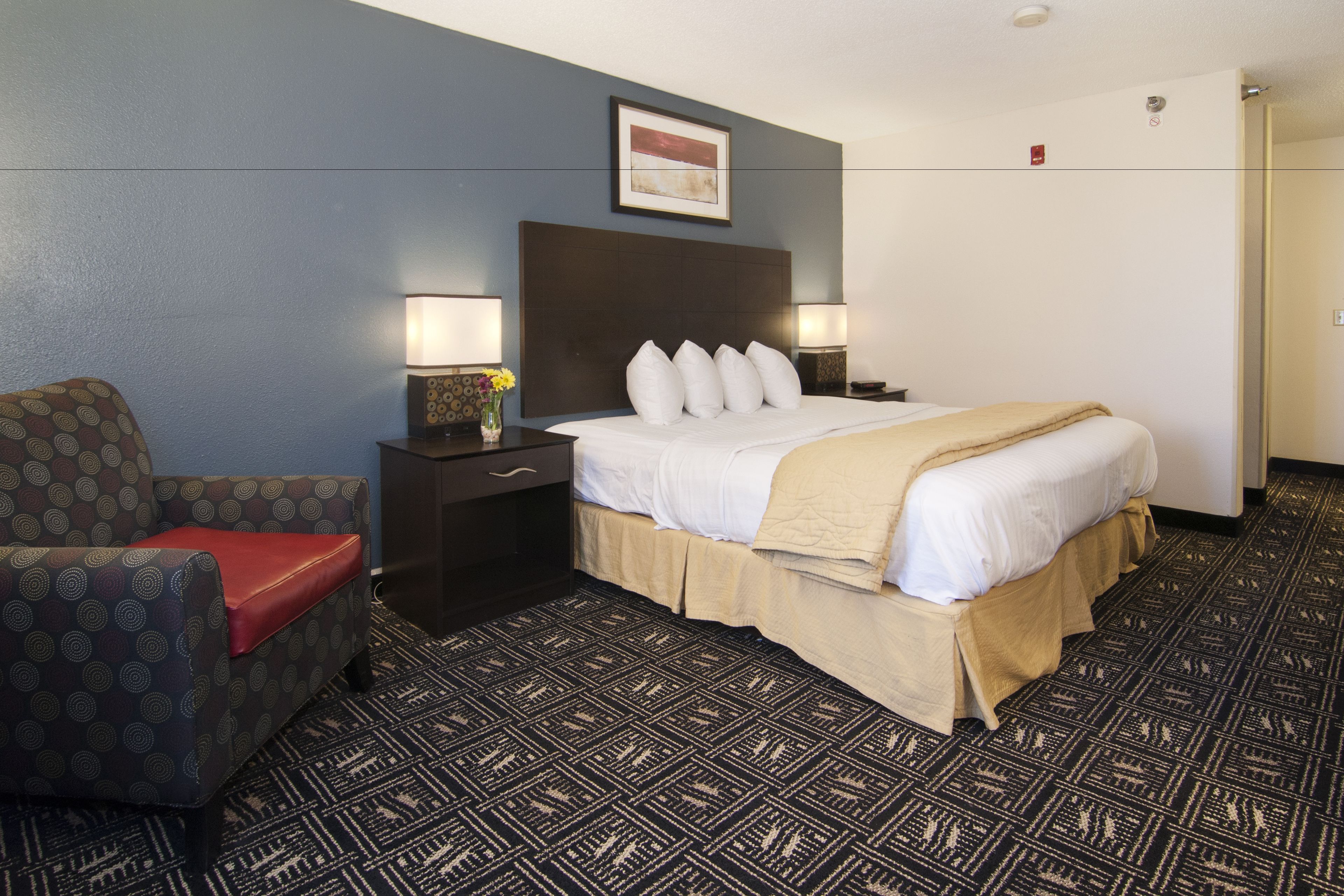 Una habitación de hotel con cama, mesita de noche, lámpara, sillón y alfombra estampada.