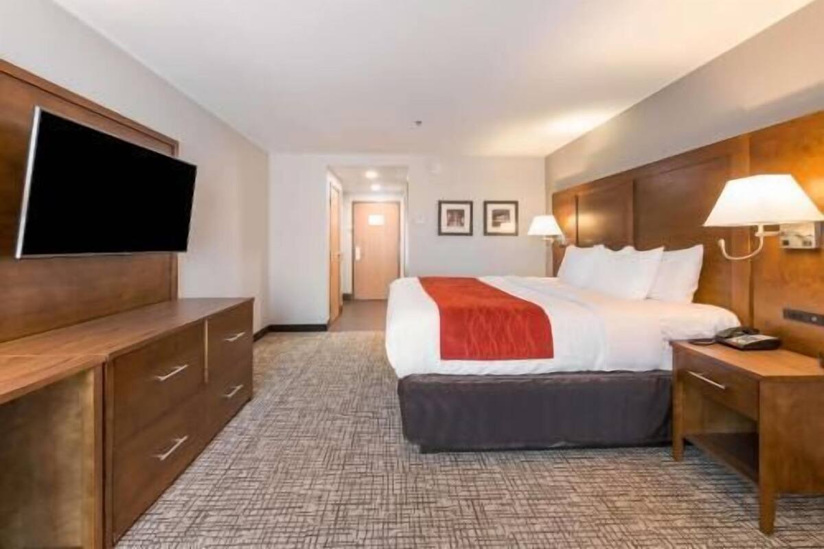 Une chambre d’hôtel comprenant un lit, des tables de chevet, une télévision, un bureau et un sol recouvert de moquette.