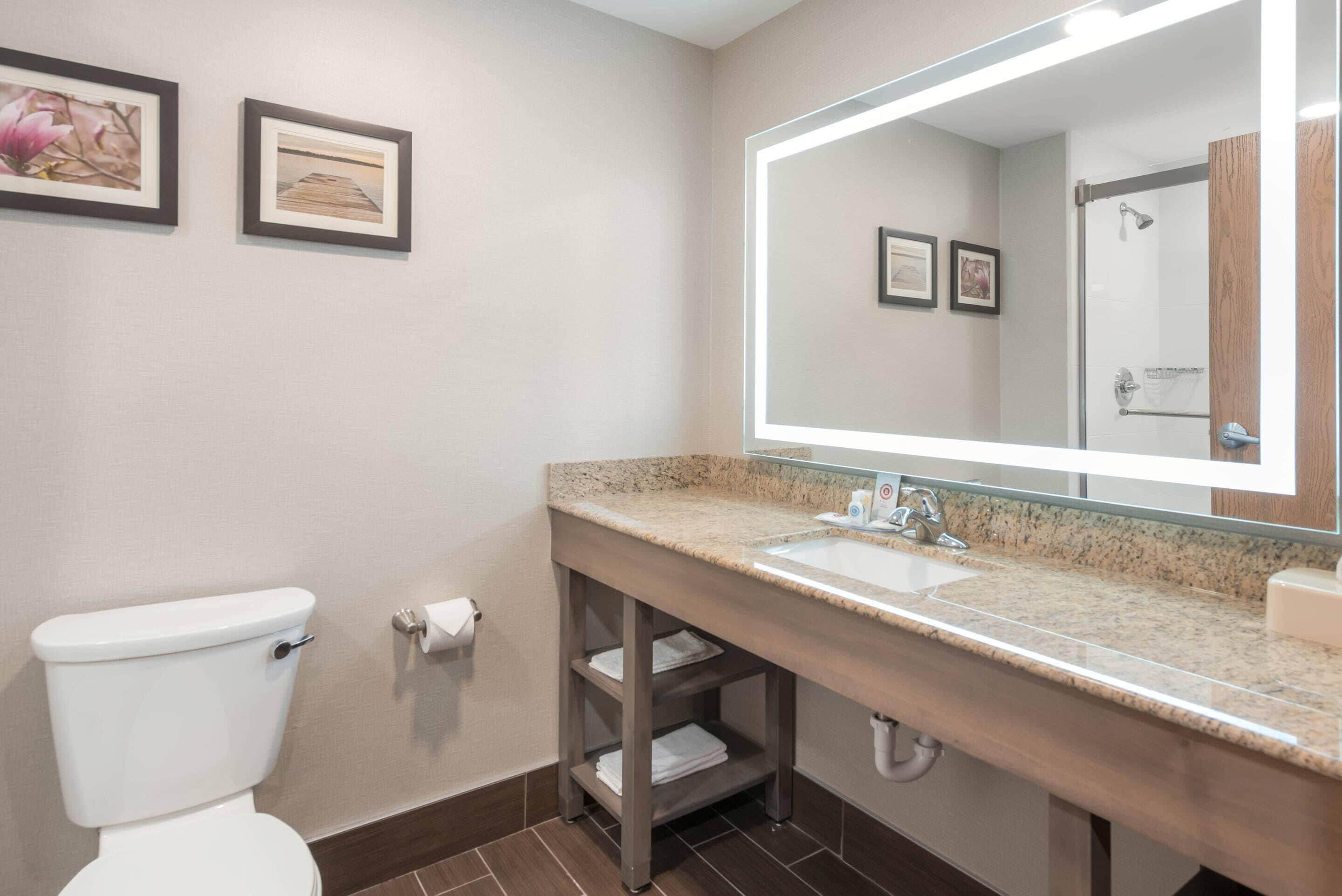 A bathroom with a toilet, sink, and mirror. There are two framed pictures on the wall.