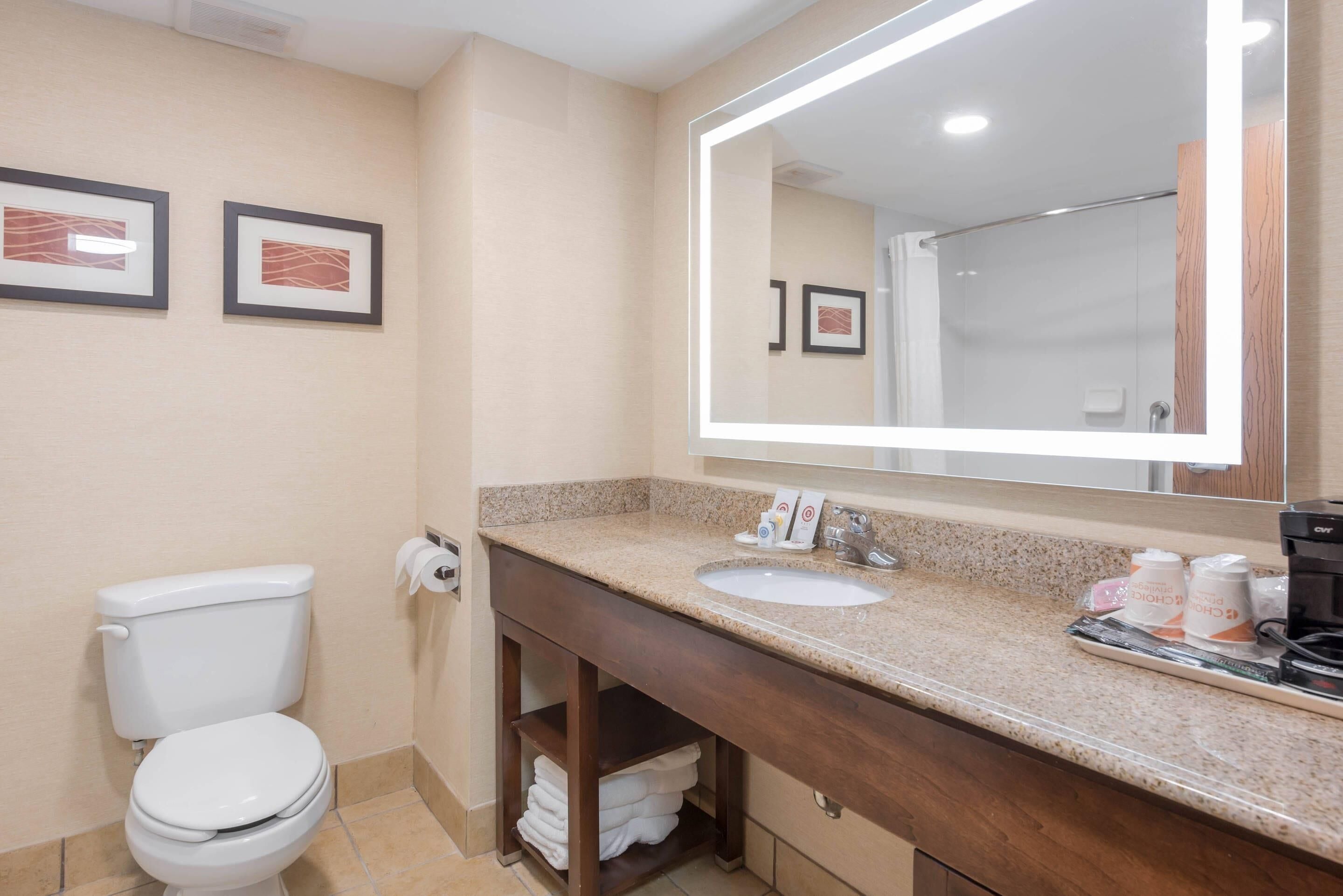 Une salle de bain avec des toilettes, un lavabo et un miroir. Des serviettes et des articles de toilette sont posés sur le comptoir.