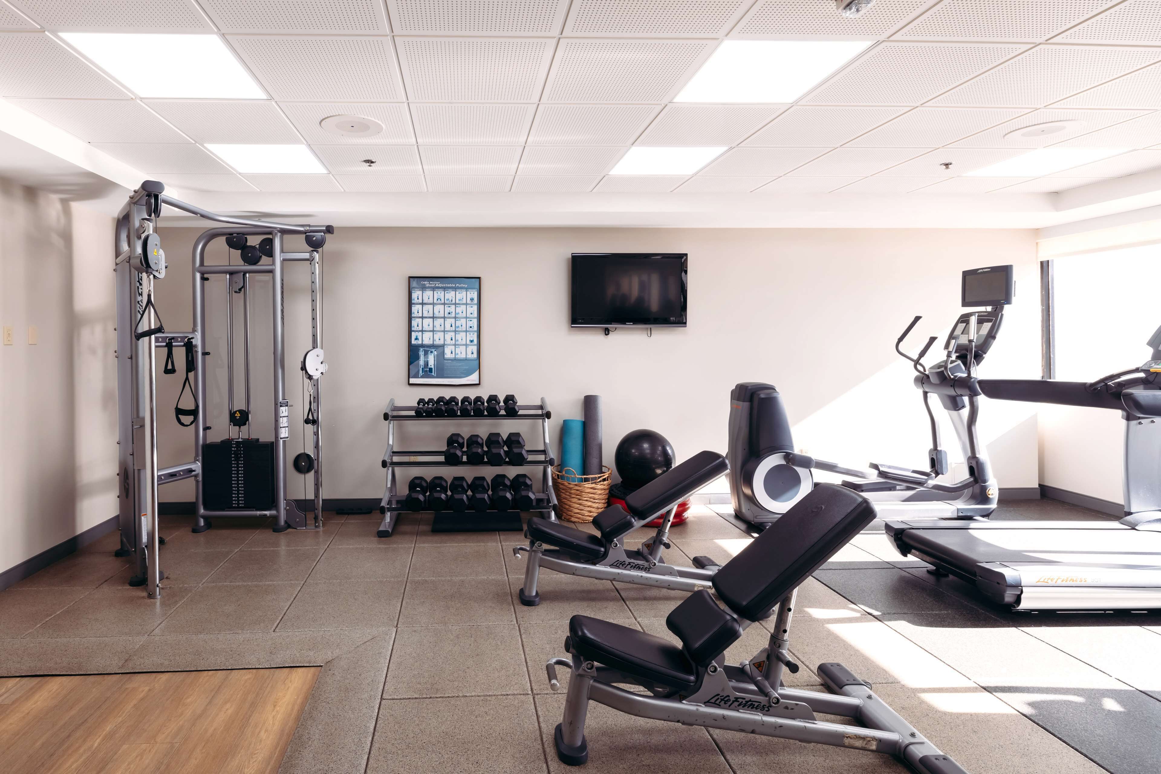 A gym with exercise equipment, a television, and a wall-mounted rack of dumbbells.