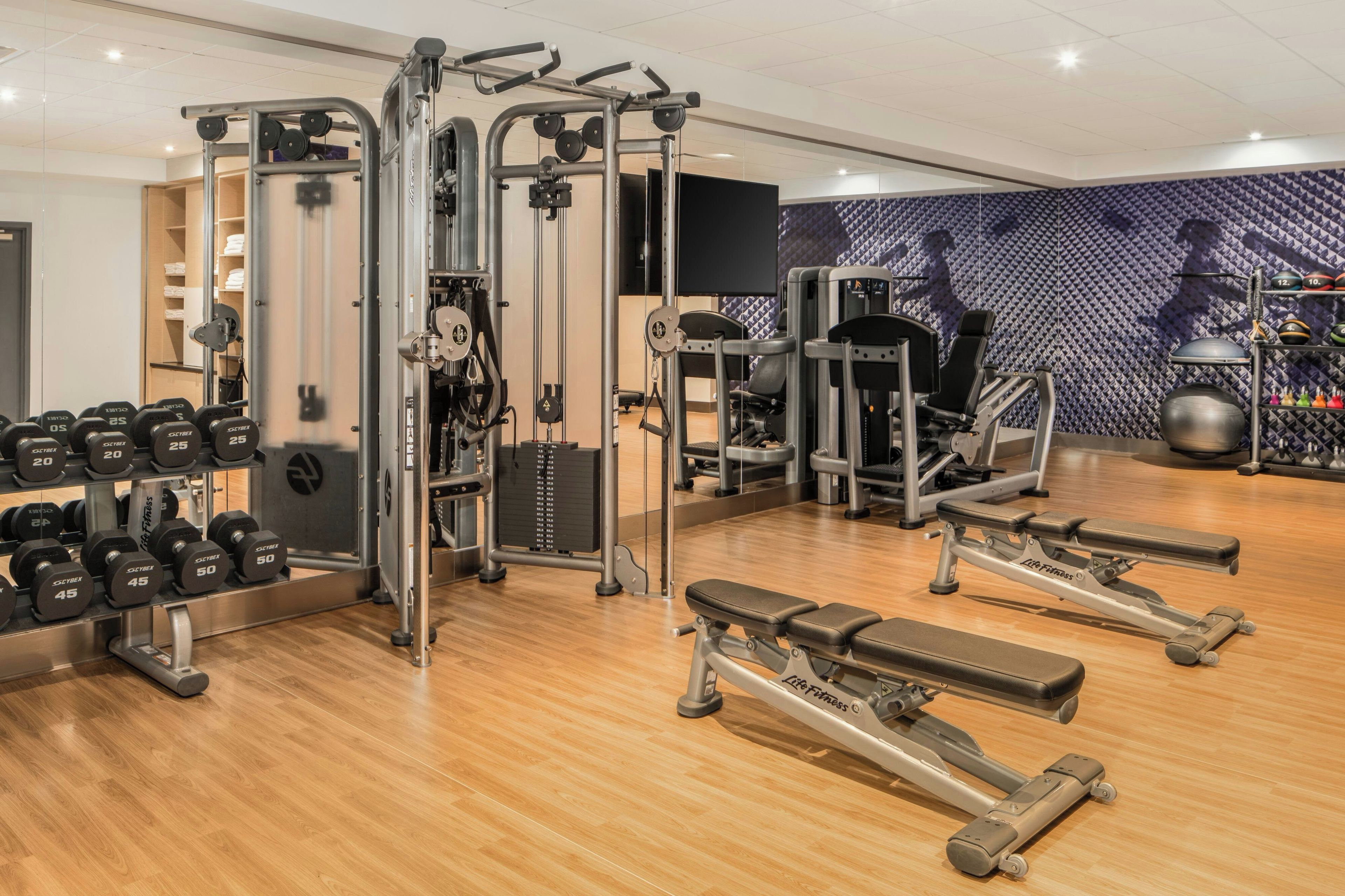 Un gimnasio con equipo de levantamiento de pesas, mancuernas y máquinas de cardio.