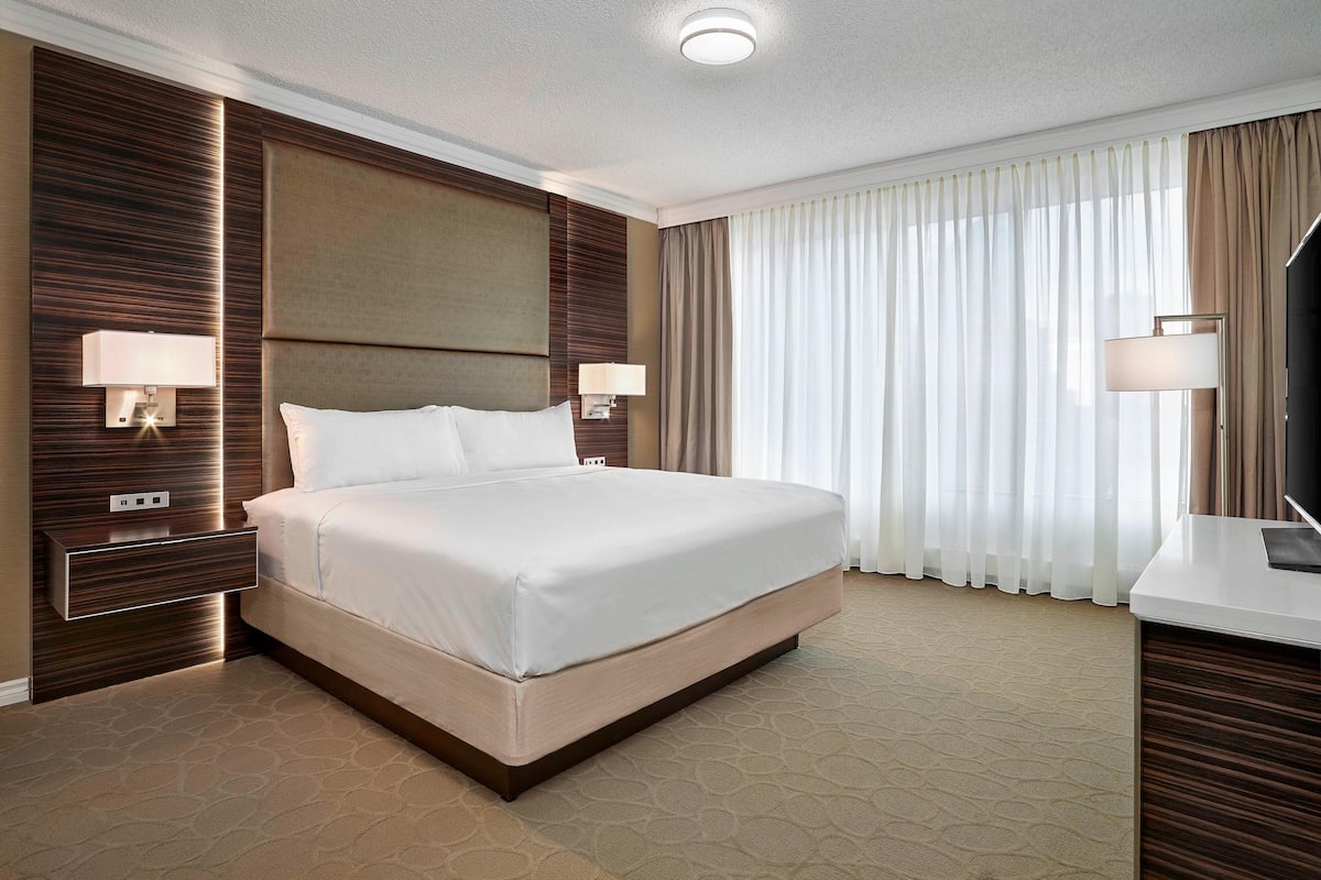 Suite Exécutive, 1 grand lit et 1 canapé-lit