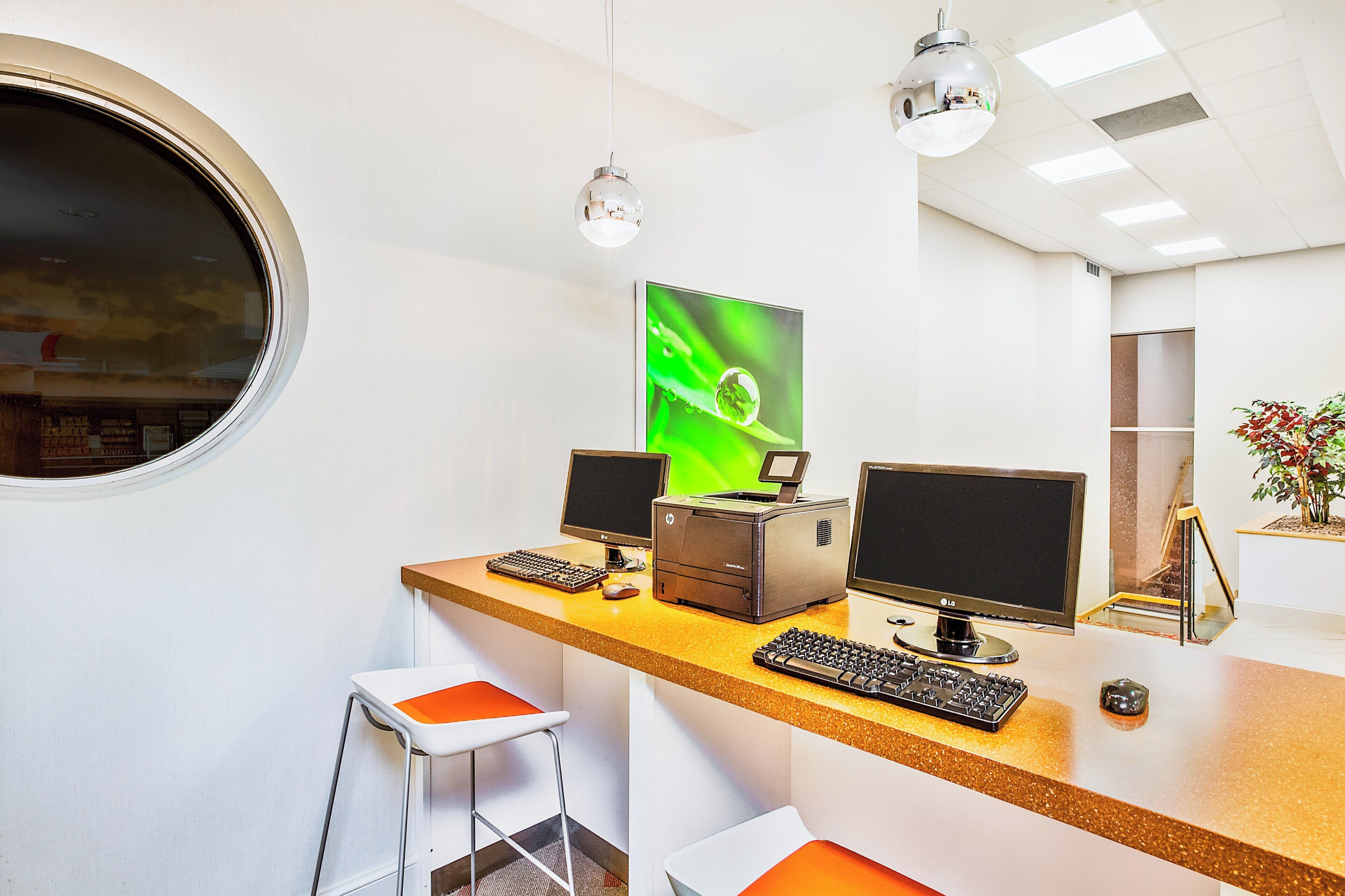Un espacio de oficina moderno con un ventanal redondo, dos escritorios con computadoras y una planta.
