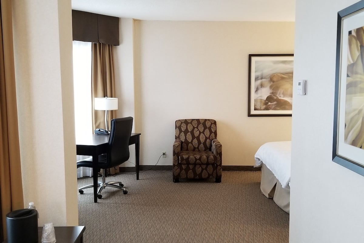 Premium Room, 1 King Bed with Sofa bed