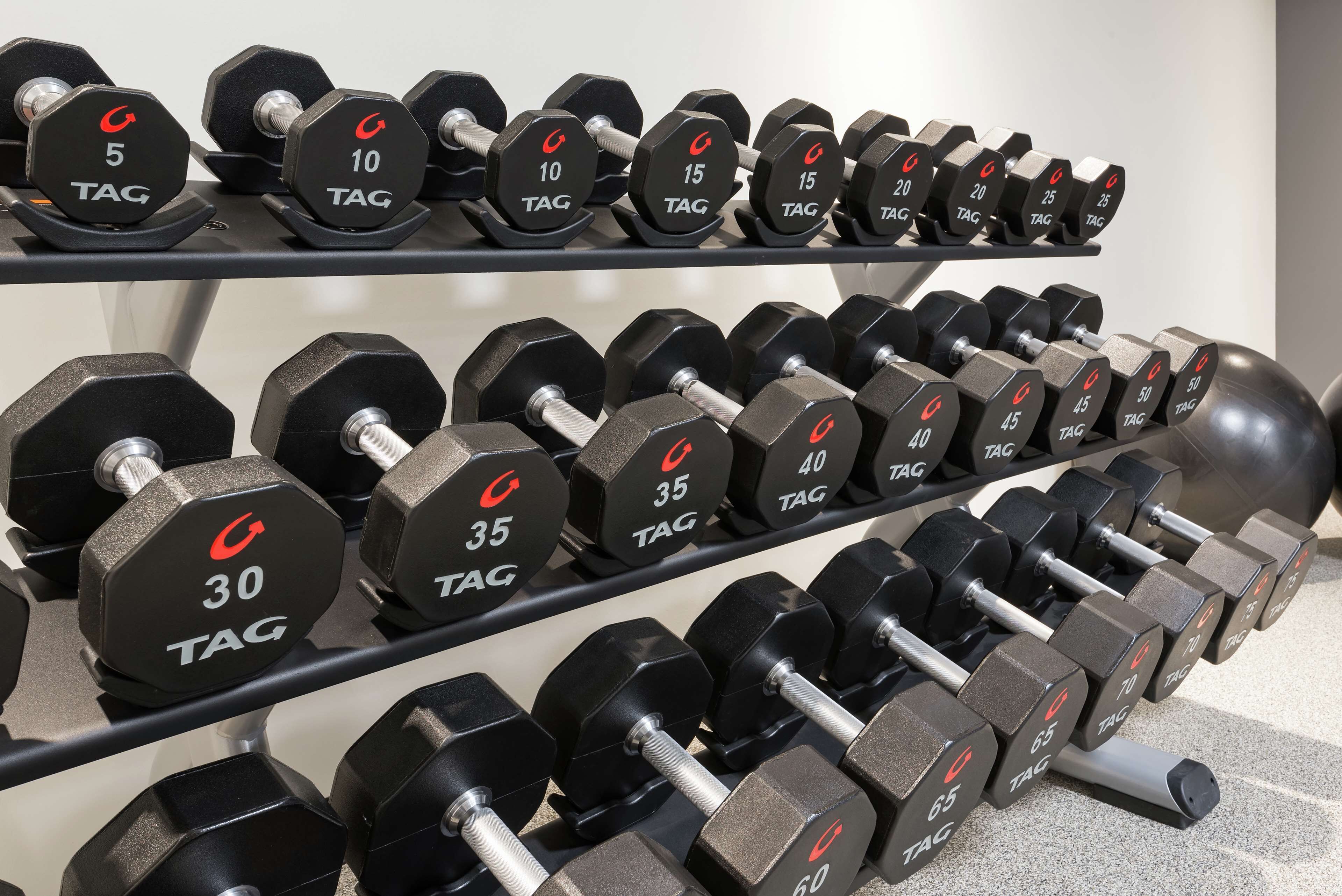 A rack of hexagonal dumbbells with weight markings ranging from 5 to 65 pounds.