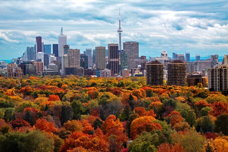 Chelsea Hotel, Toronto - Image 57