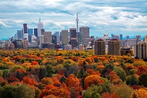 City view