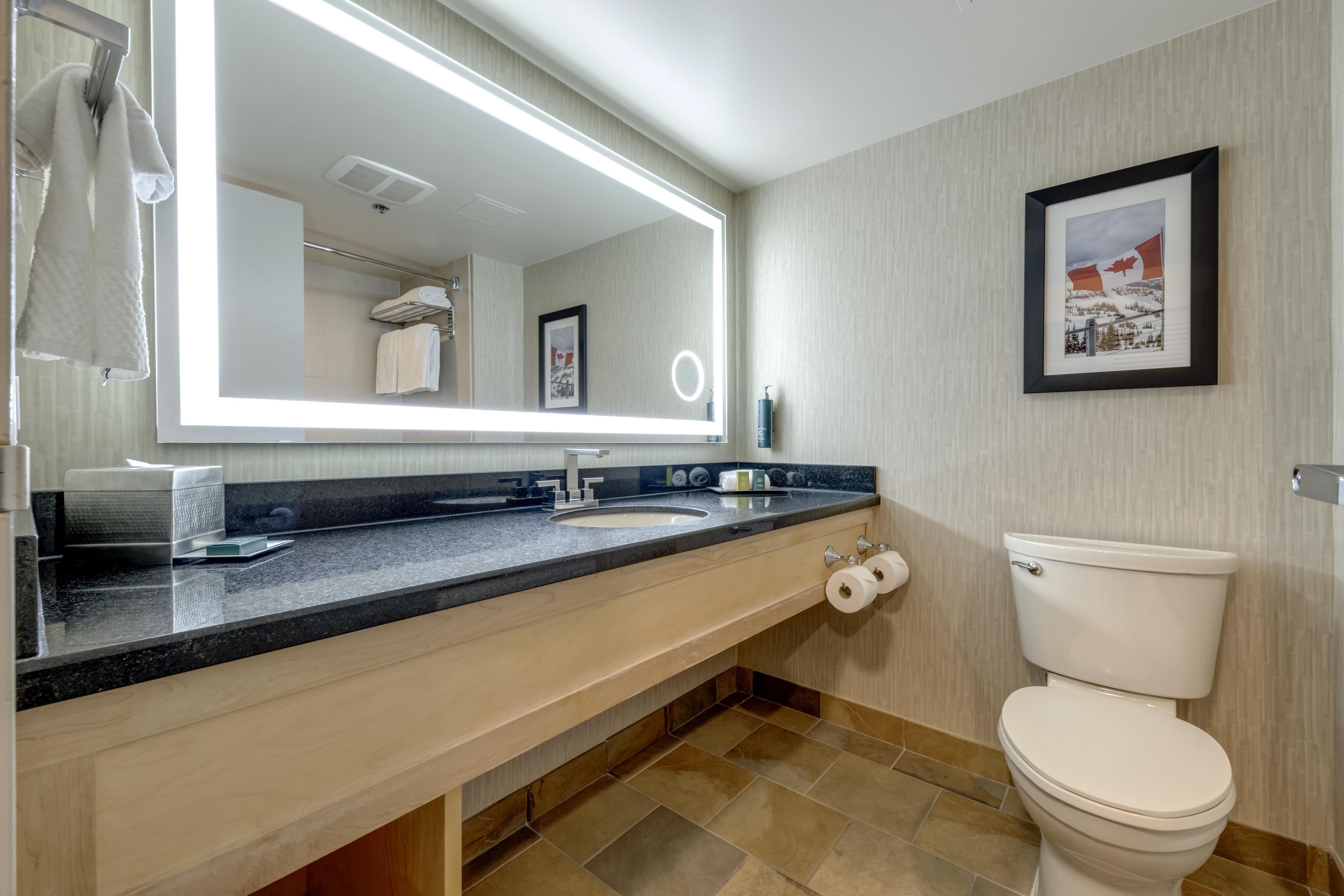 A modern bathroom with a large mirror, a sink, a toilet, and a framed picture on the wall.
