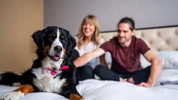 Un perro recostado en una cama en una habitación con un cabecero capitonado.