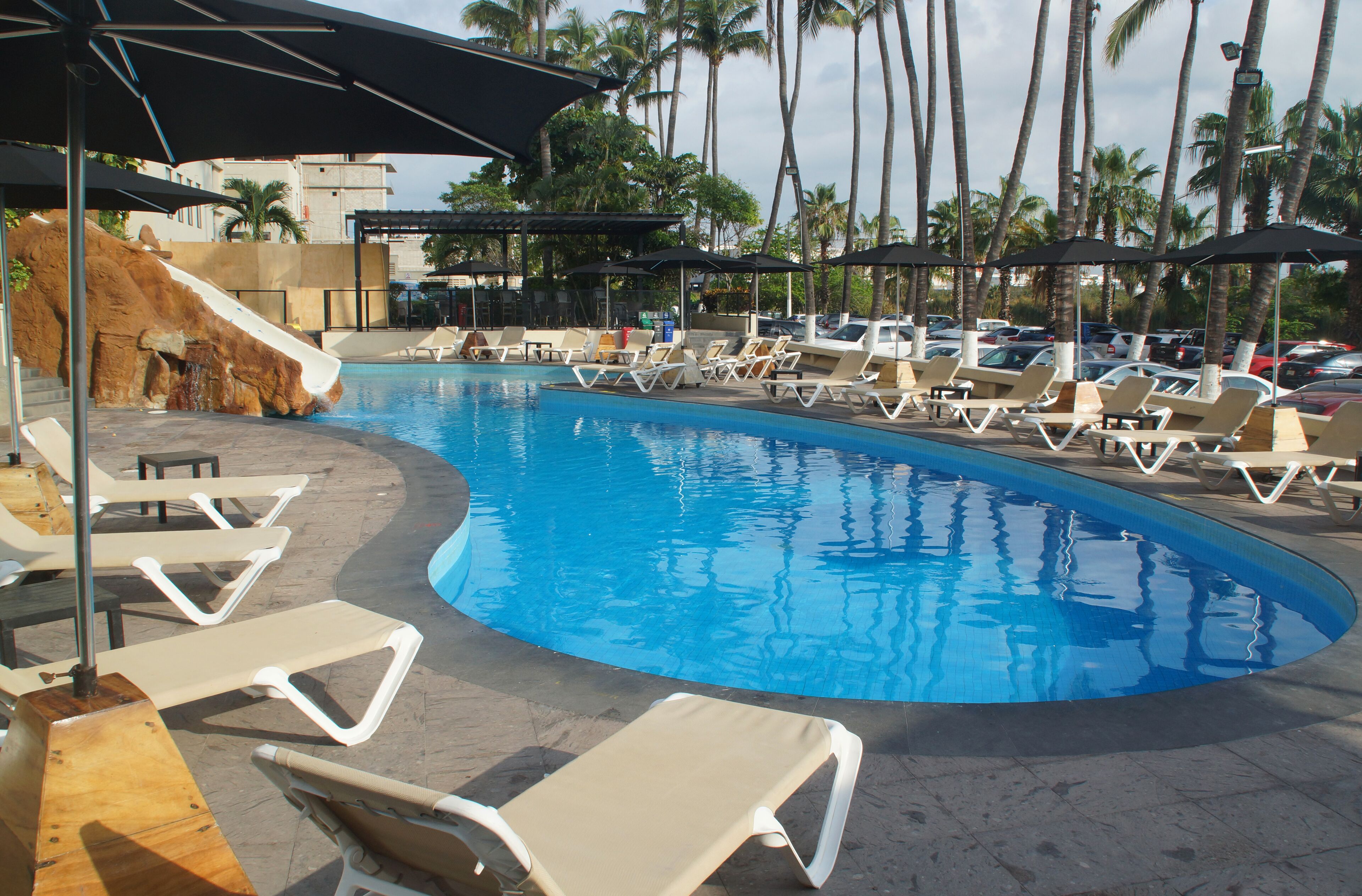 A pool area with lounge chairs and umbrellas, surrounded by palm trees.