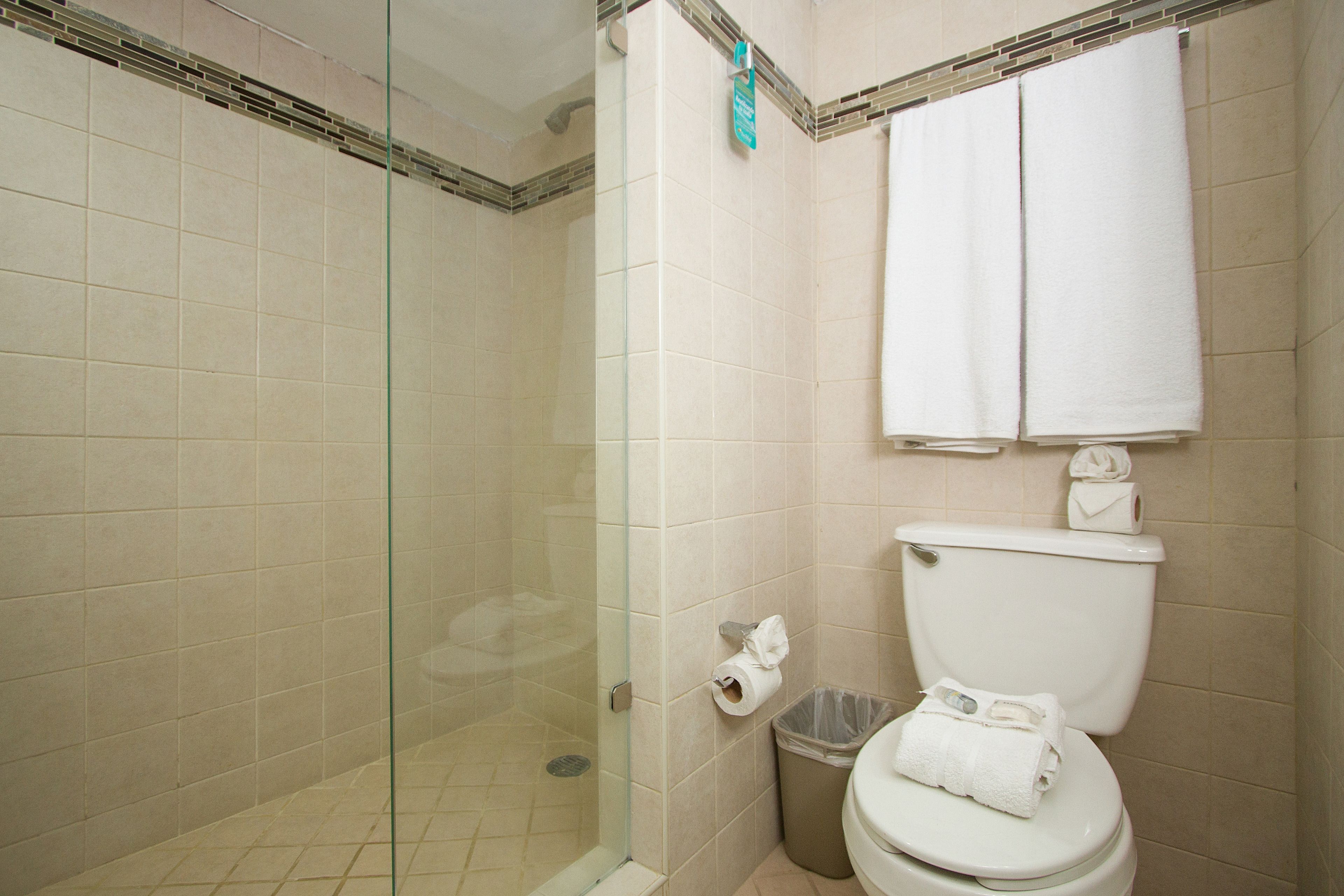 A bathroom with a glass-enclosed shower, a toilet, and a trash bin.