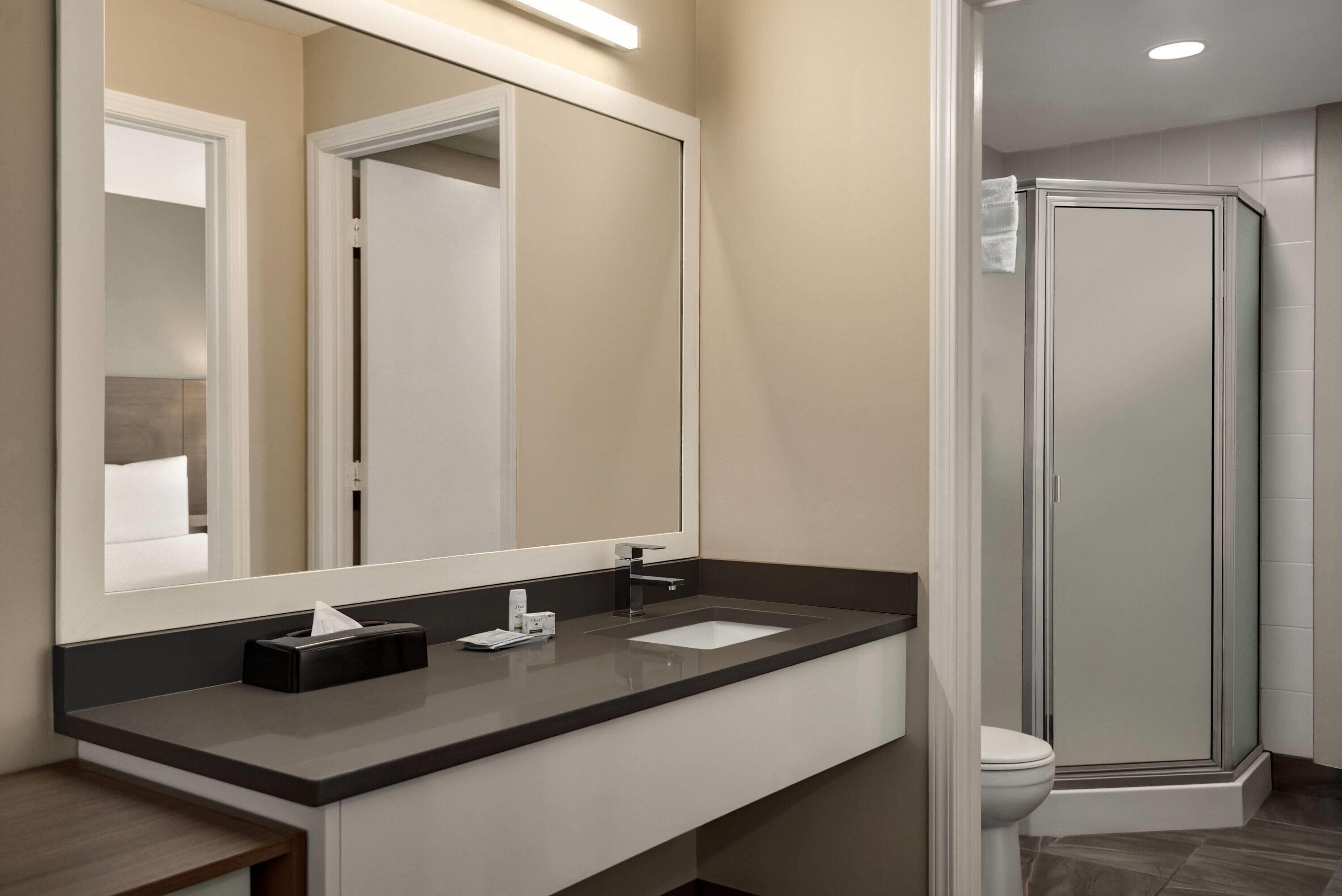 A modern bathroom with a large mirror, a sink, and a shower area.