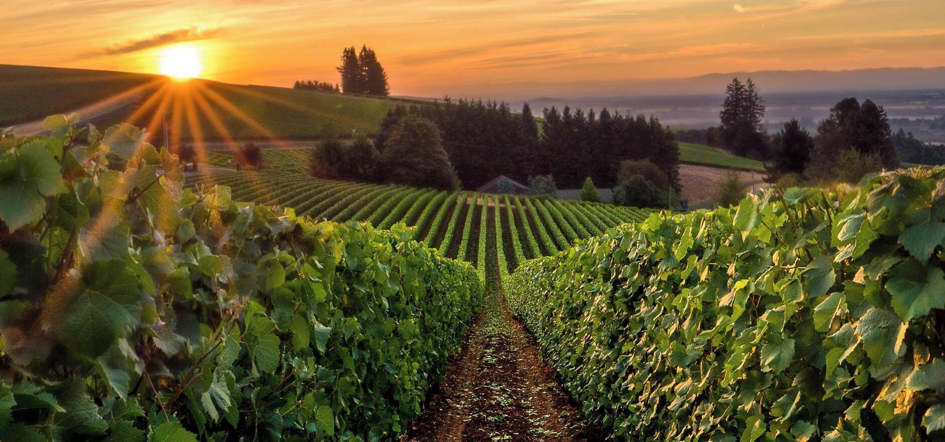 Winery