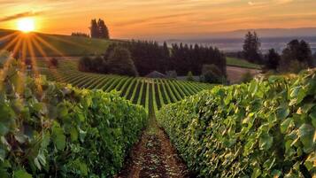 Winery