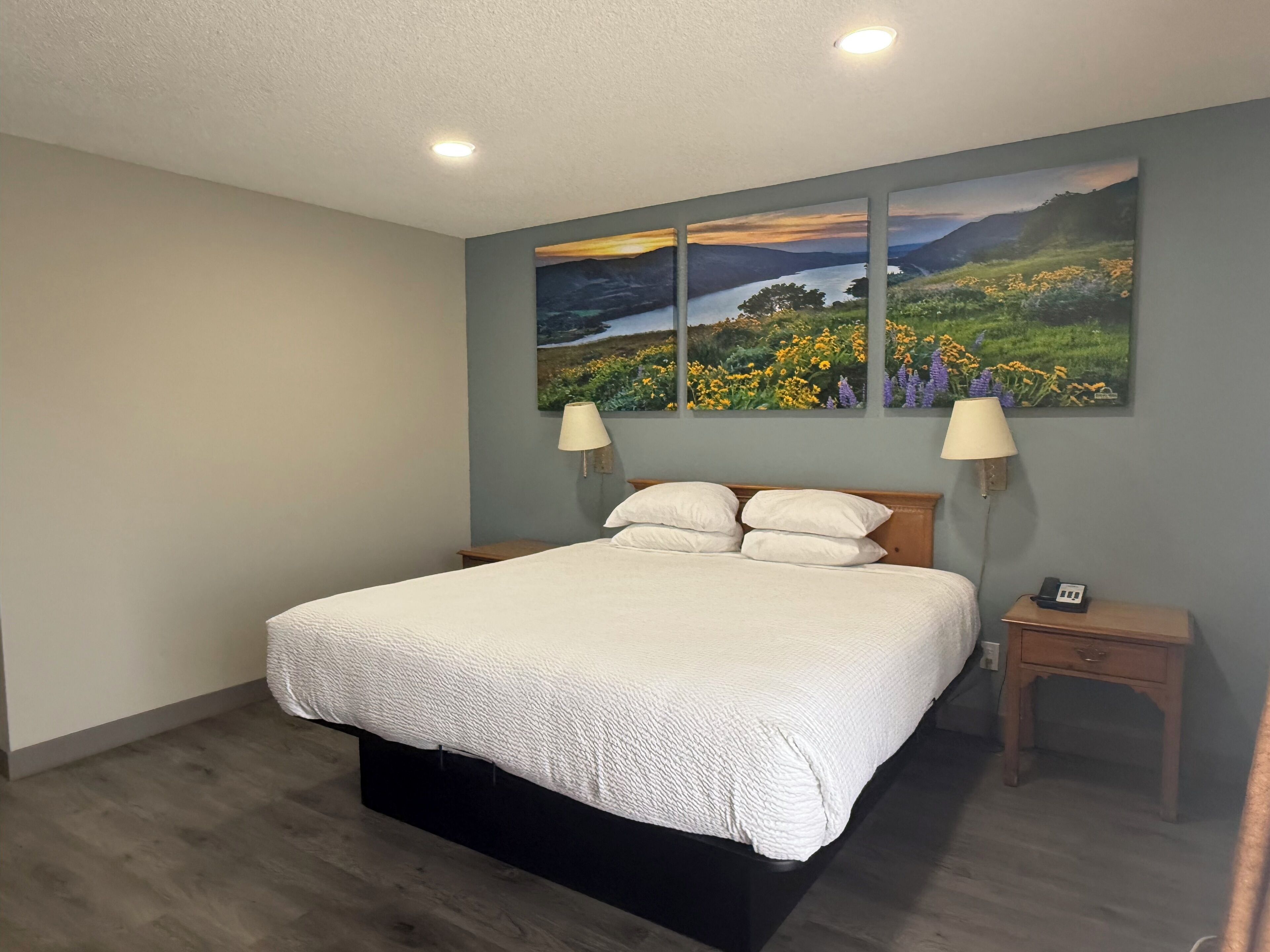 Room, 1 King Bed, Non Smoking | Premium bedding, individually decorated, individually furnished, desk