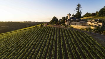 Winery
