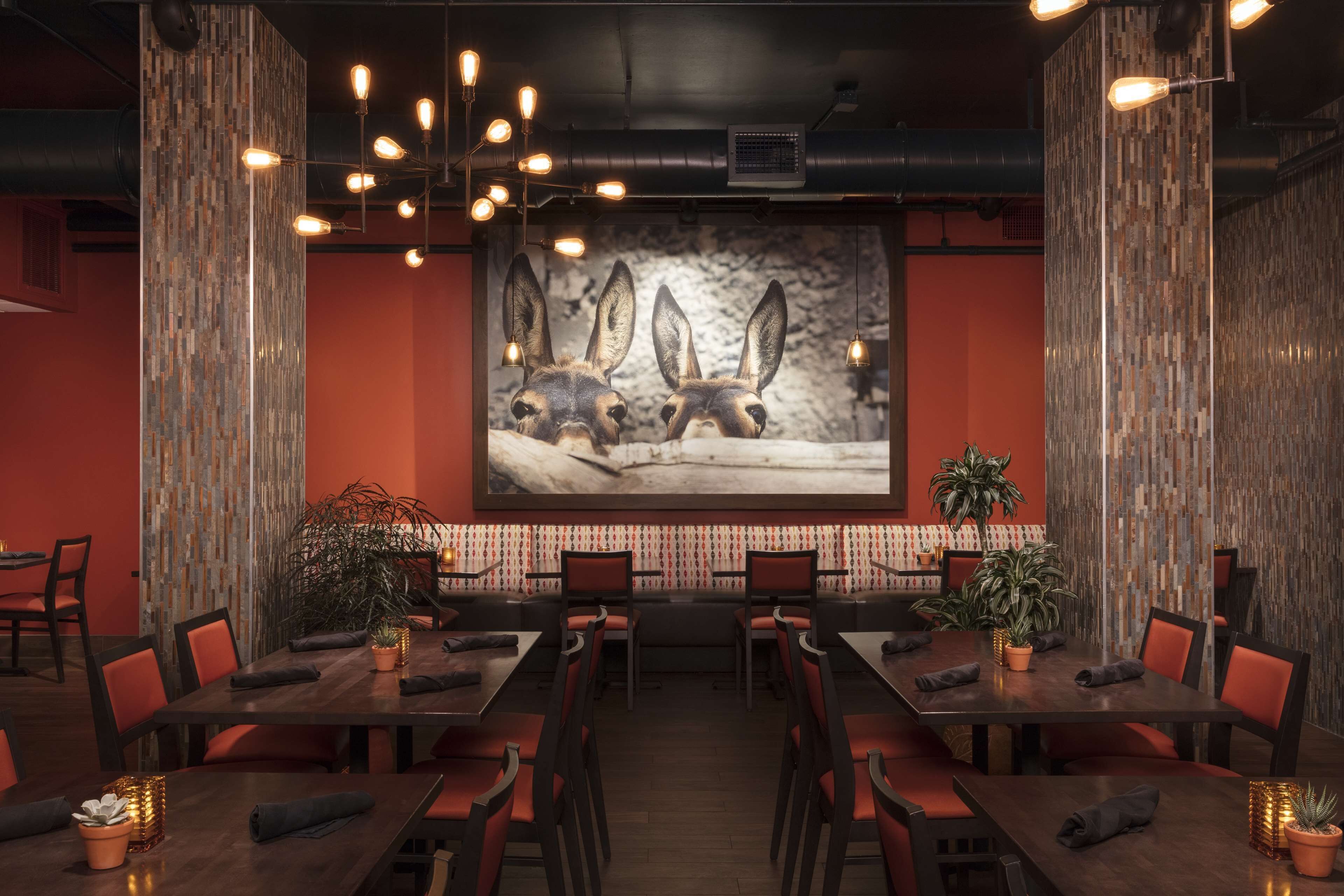 A restaurant with a long wooden table, red chairs, and a large screen displaying a dog image.