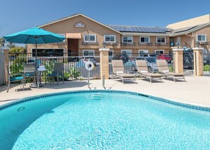 Outdoor pool, sun loungers