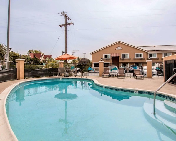 Outdoor pool, pool loungers