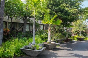 Vista desde la habitación