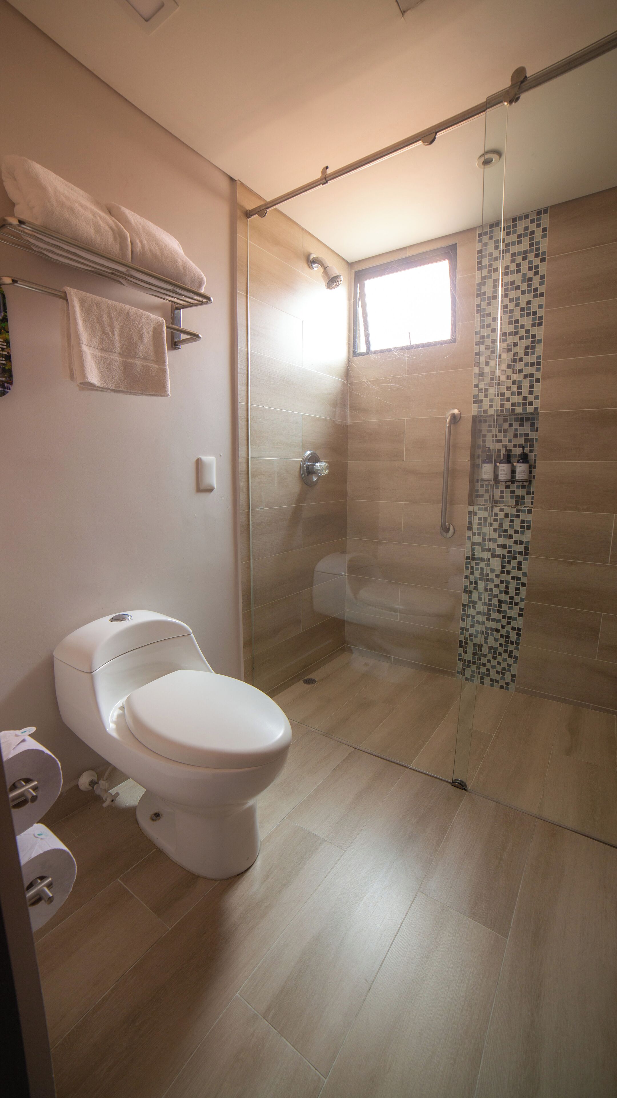 A bathroom with a toilet, a glass shower enclosure, and a towel rack.