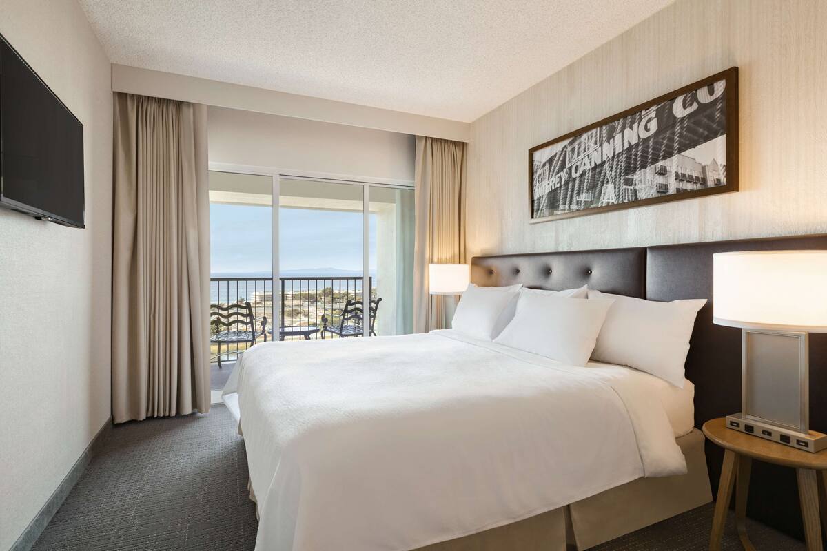 A hotel room with a large bed, a television mounted on the wall, a framed picture, and a view of the outdoors.