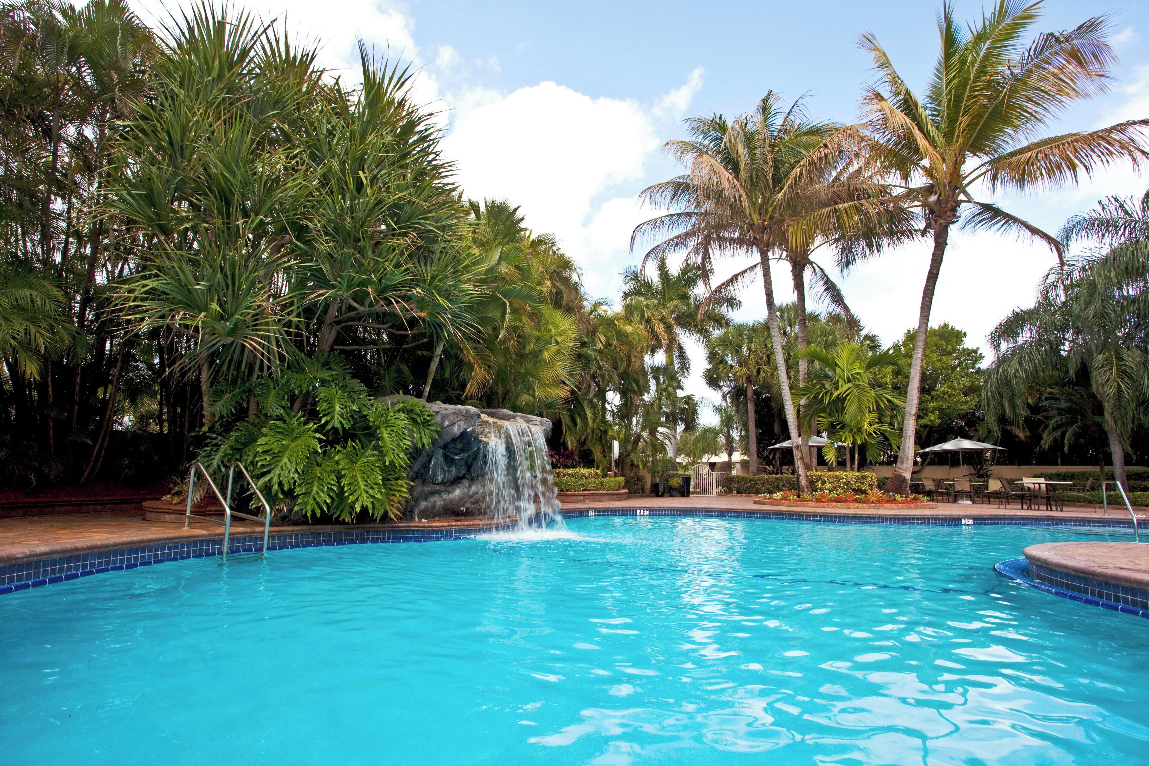 Una piscina con cascada, rodeada de palmeras y abundante vegetación.