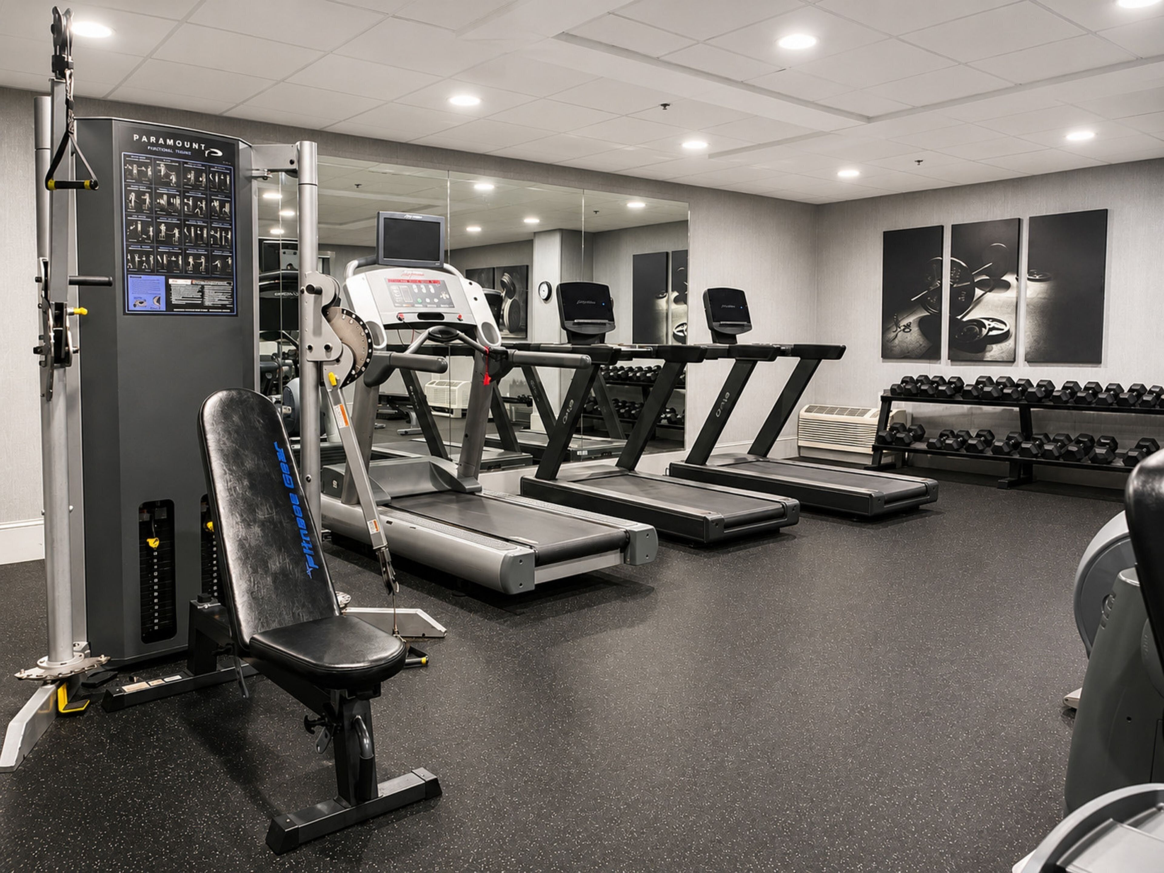 A gym with treadmills, dumbbells, and weight machines.