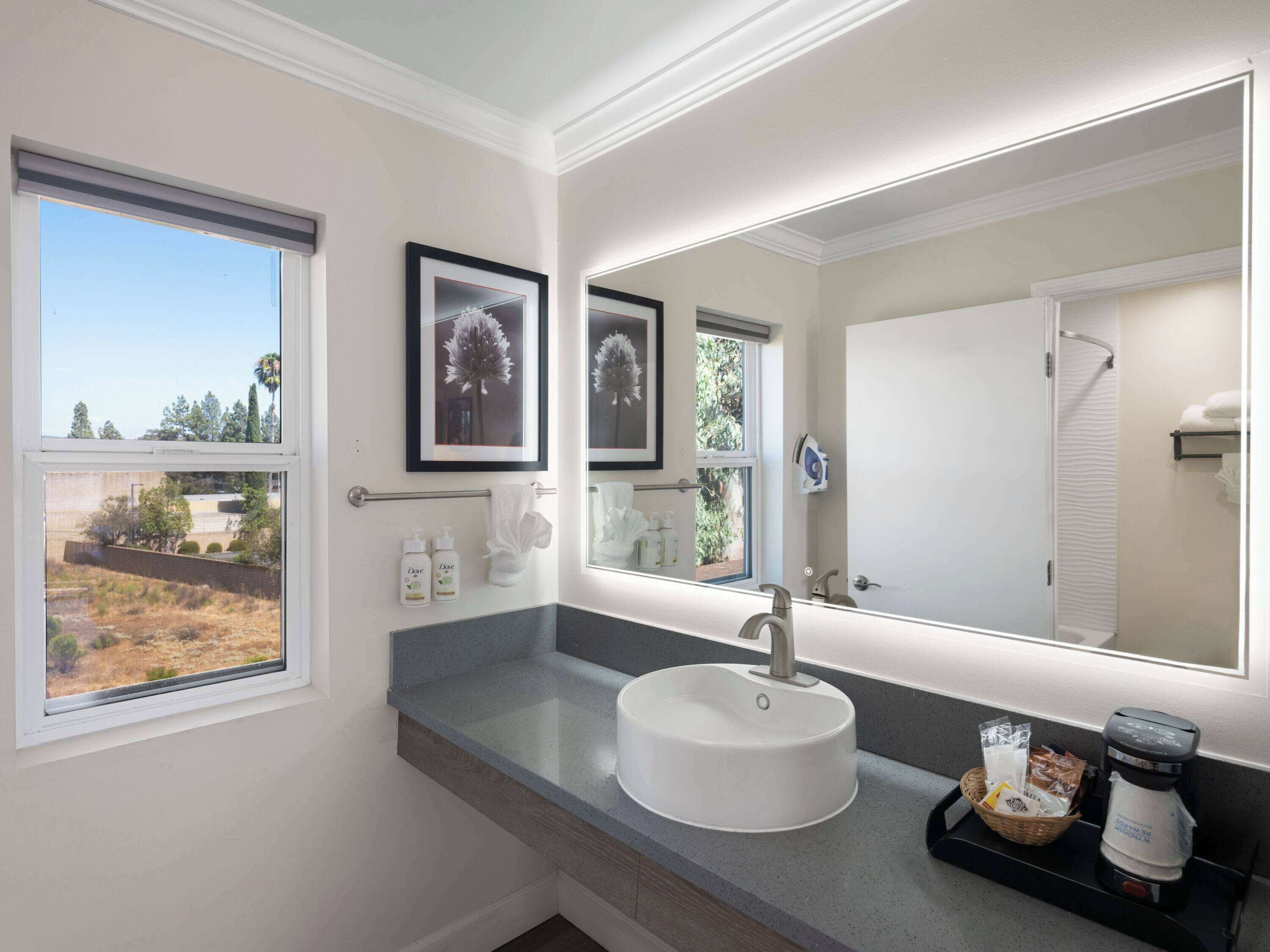 Un bagno con un lavandino bianco, due quadri incorniciati, uno specchio grande e una finestra con vista su alberi ed edifici.