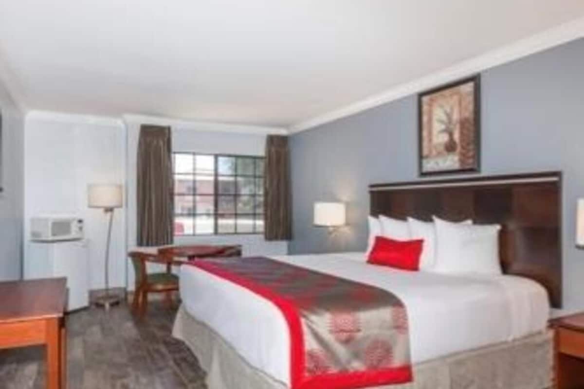 Quarto de hotel com cama, mesa de cabeceira, abajur e janela com cortinas.