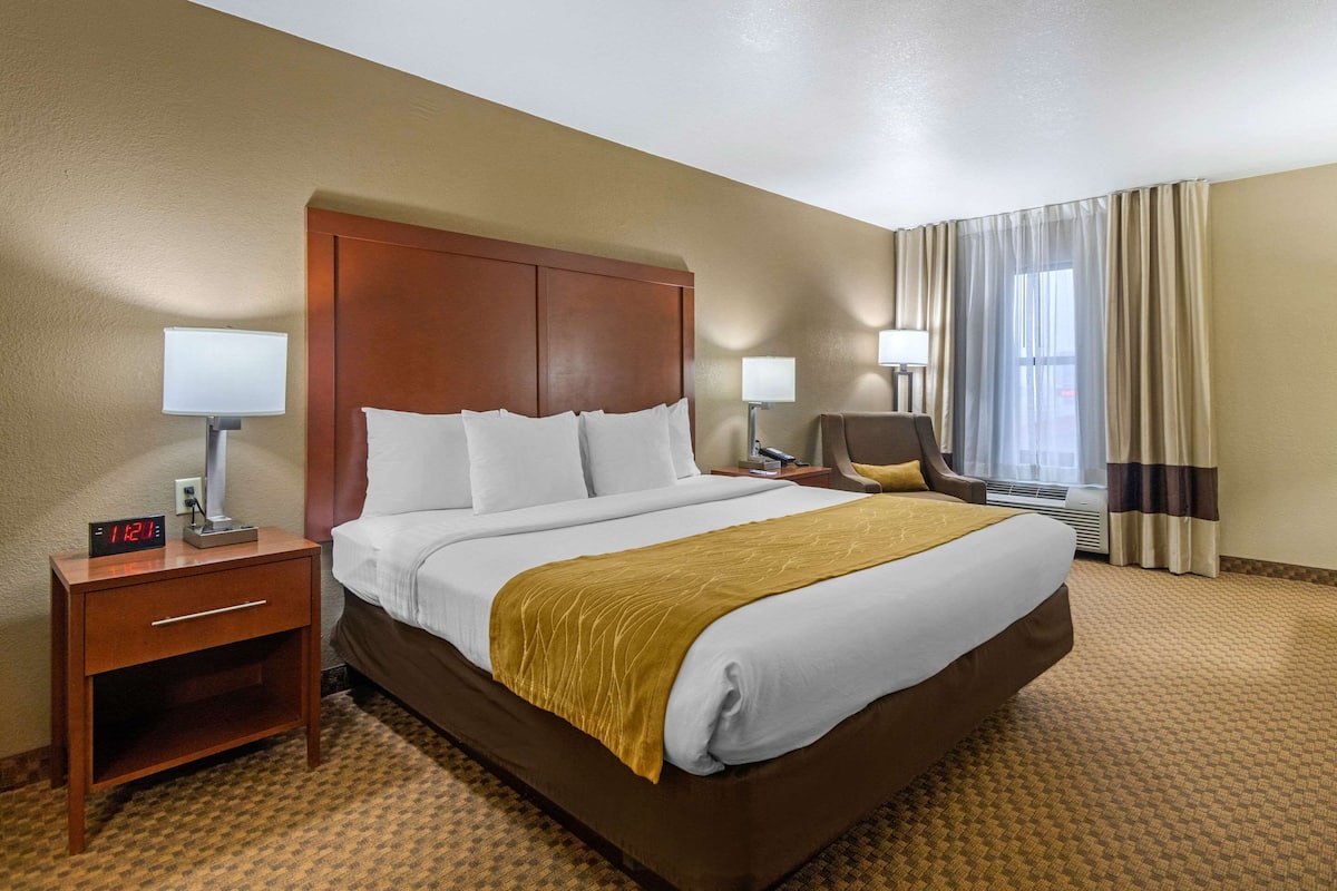 Standard Room, 1 King Bed, Non Smoking