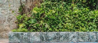 Hotel Plaza Kokai Cancún