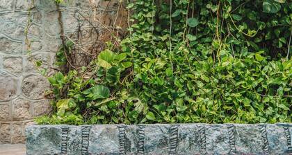 Hotel Plaza Kokai Cancún