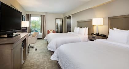 Hampton Inn Houston-Near The Galleria