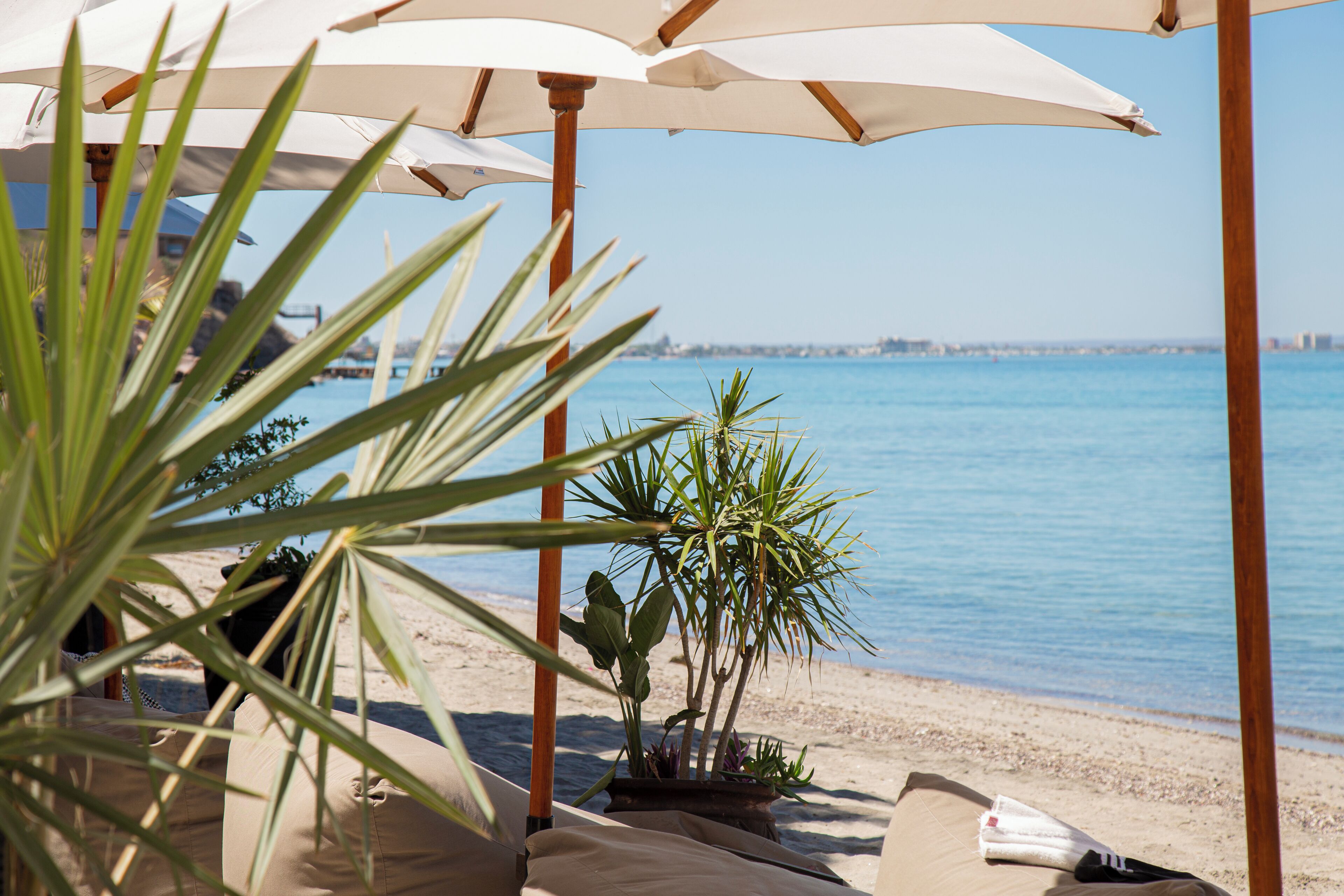 A beachside lounge area with umbrellas, lounge chairs, and potted plants.