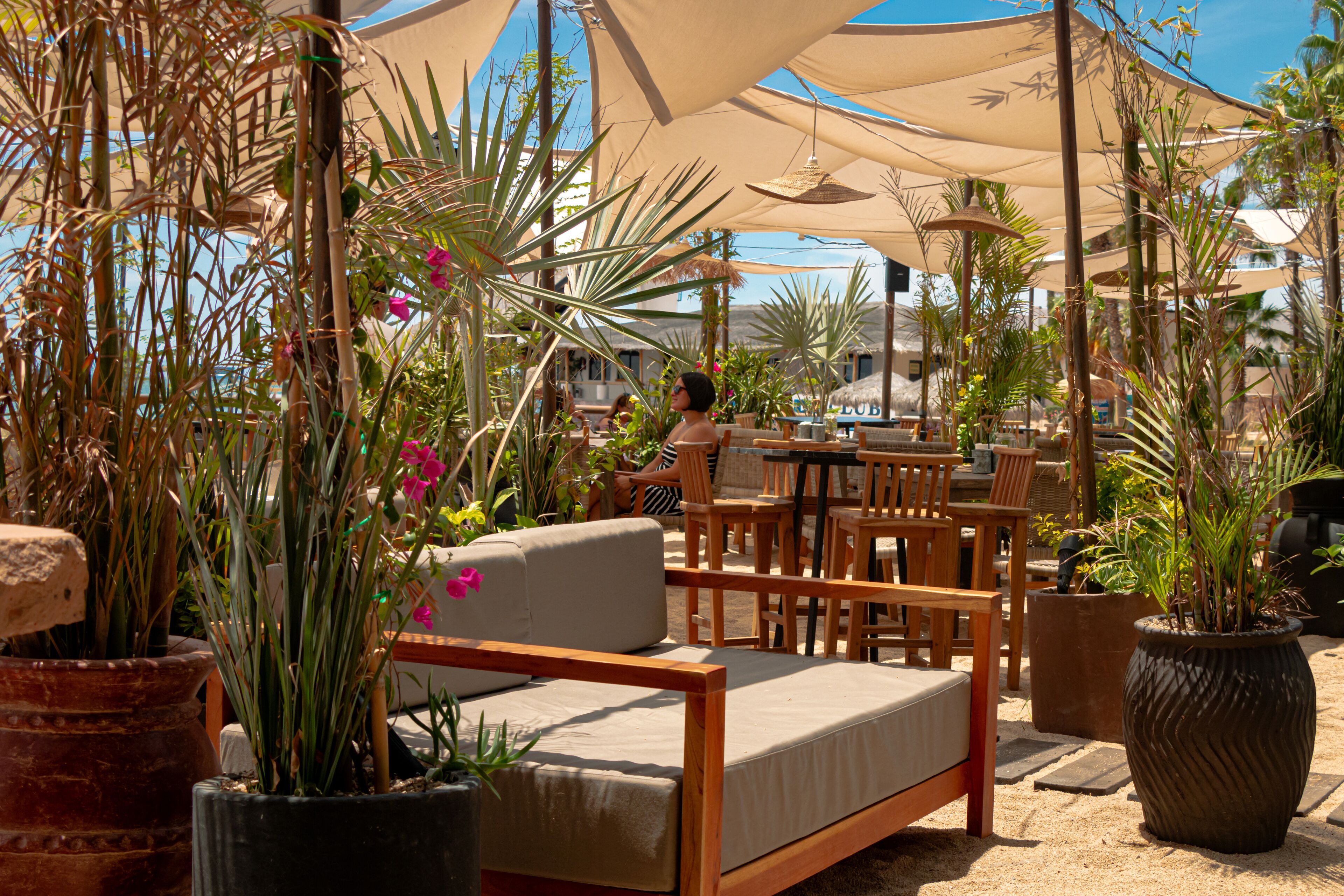 An outdoor seating area with a sofa, chairs, and tables under large umbrellas, surrounded by potted plants and palm trees.