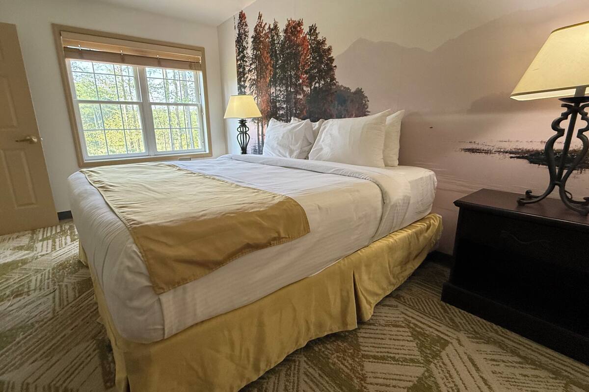 A neatly made bed with a beige and white bedspread, a window with a view of trees, and a lamp on a nightstand.