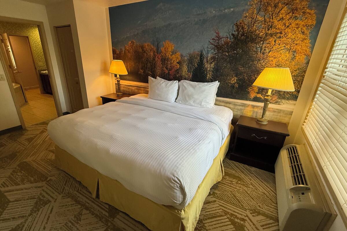 A hotel room with a large bed, two bedside lamps, a large painting of autumn trees, and a radiator.