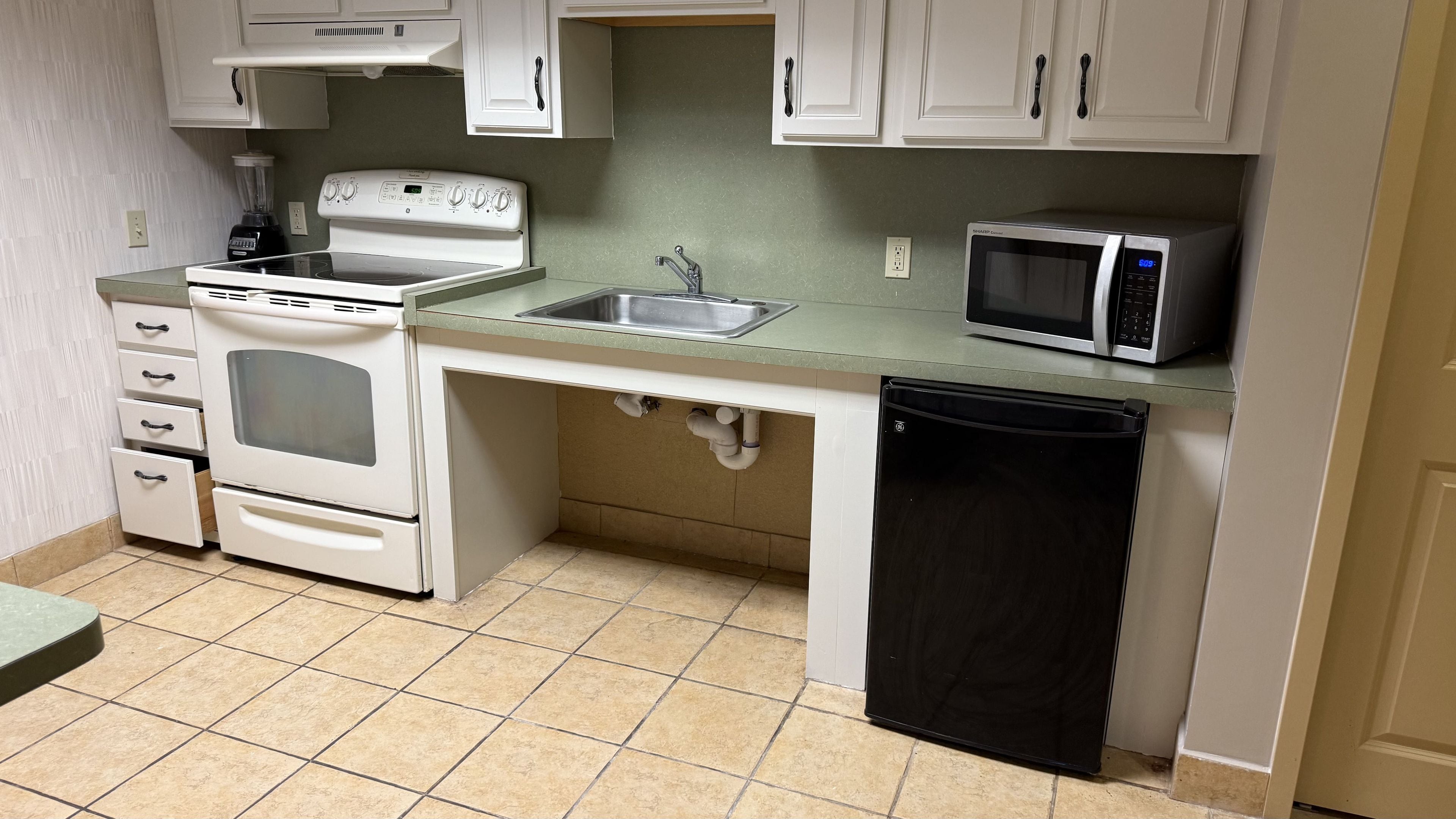 A compact kitchen with a stove, sink, microwave, and dishwasher.