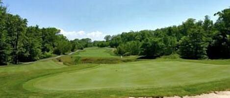 Un parcours de golf avec un bunker de sable et des arbres en arrière-plan.