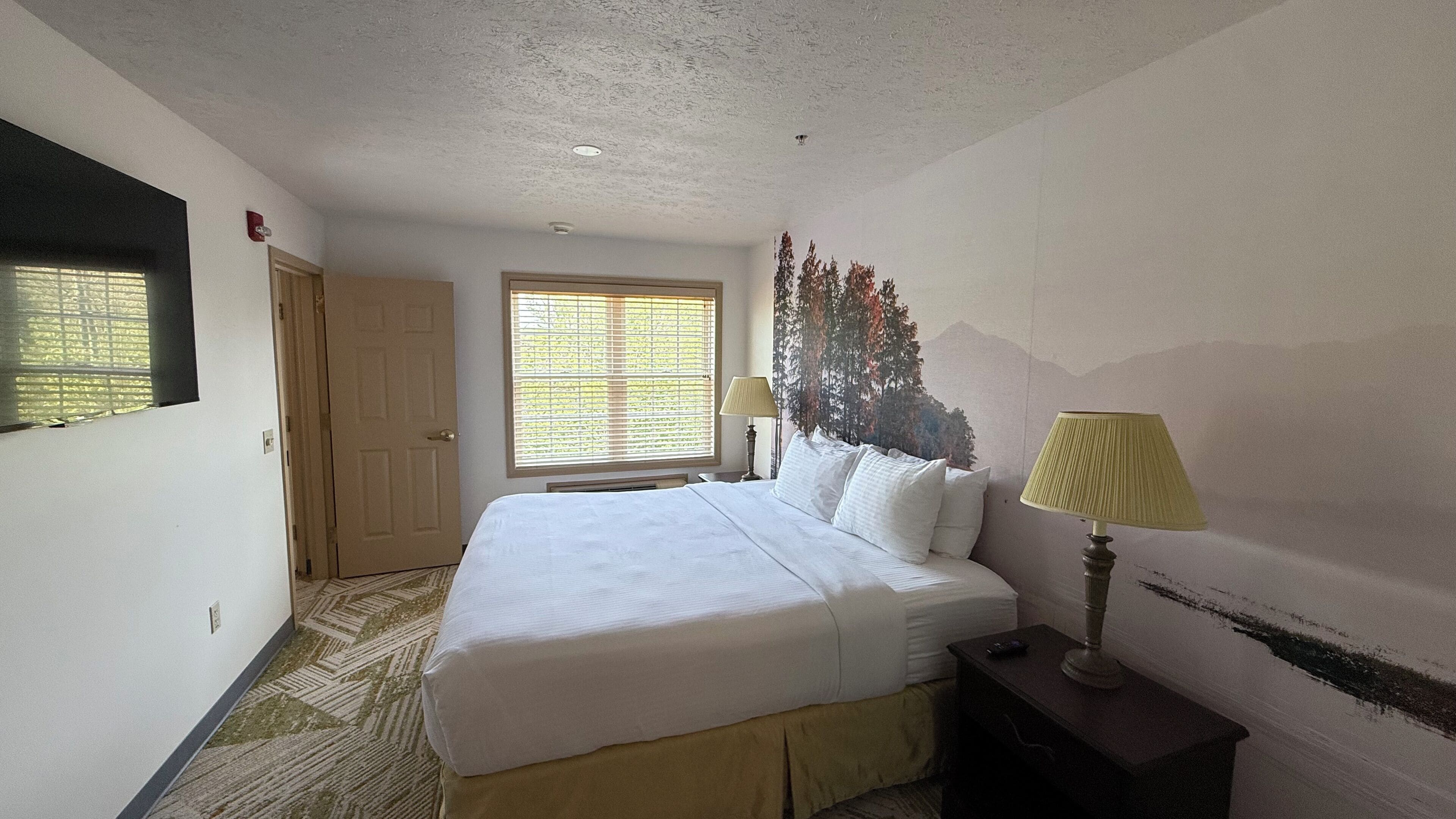 A hotel room with a large bed, a window with blinds, a wall-mounted lamp, and a door.