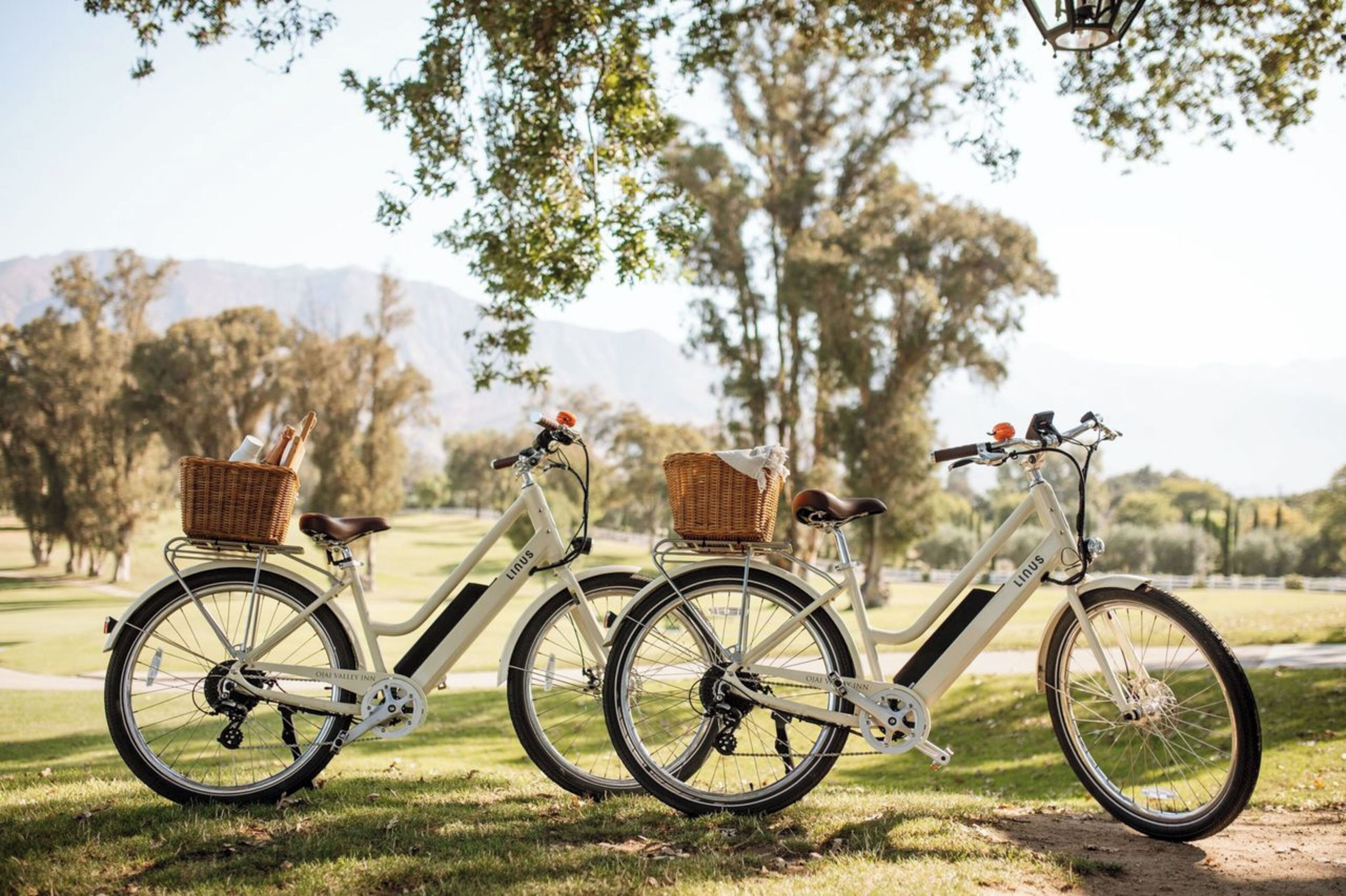 A tandem bicycle with baskets, parked on grass with trees and mountains in the background.