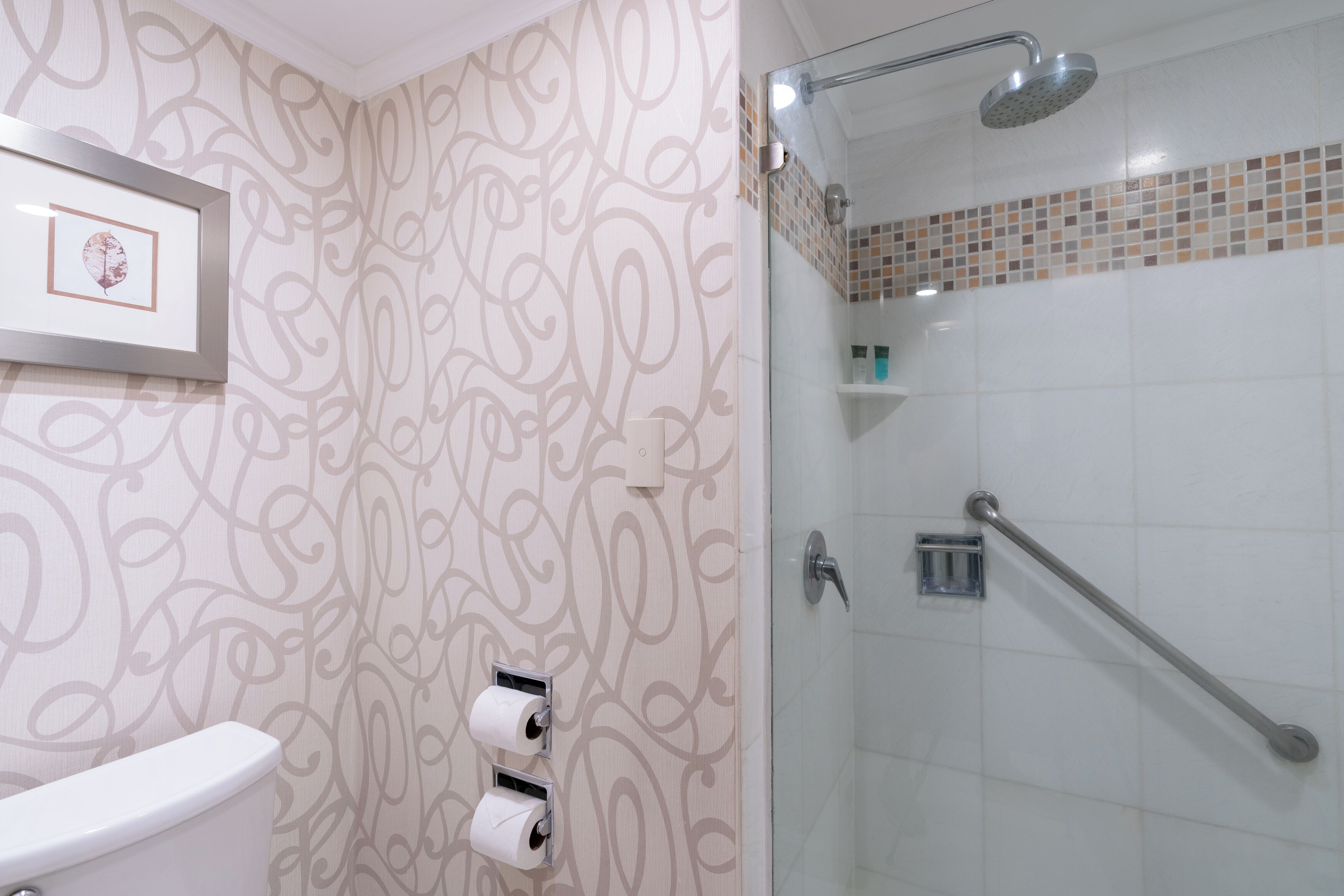 A bathroom with a toilet, two paper towel dispensers, a shower with a glass door, and a handrail.