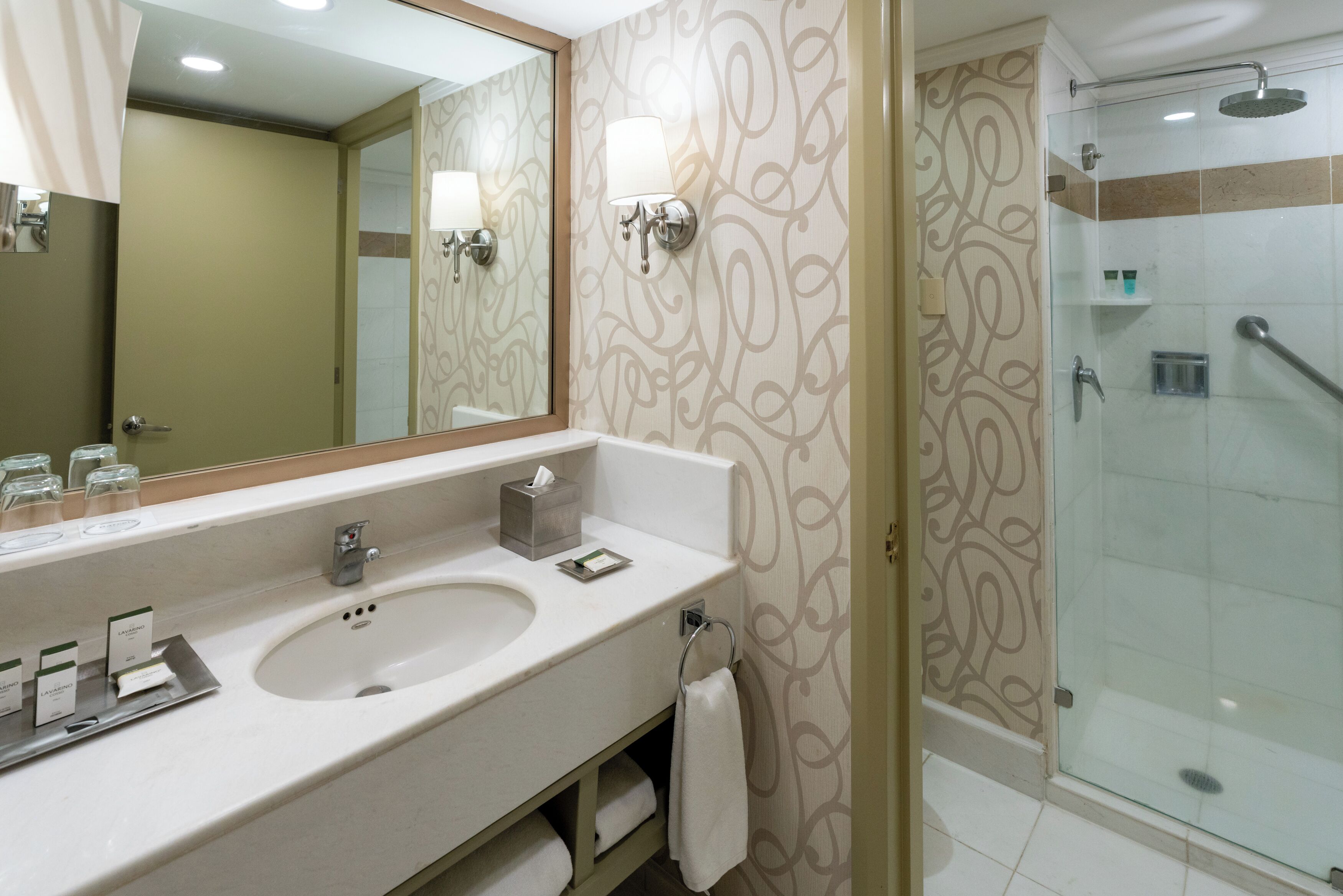 A bathroom with two sinks, a mirror, a shower, and patterned walls.