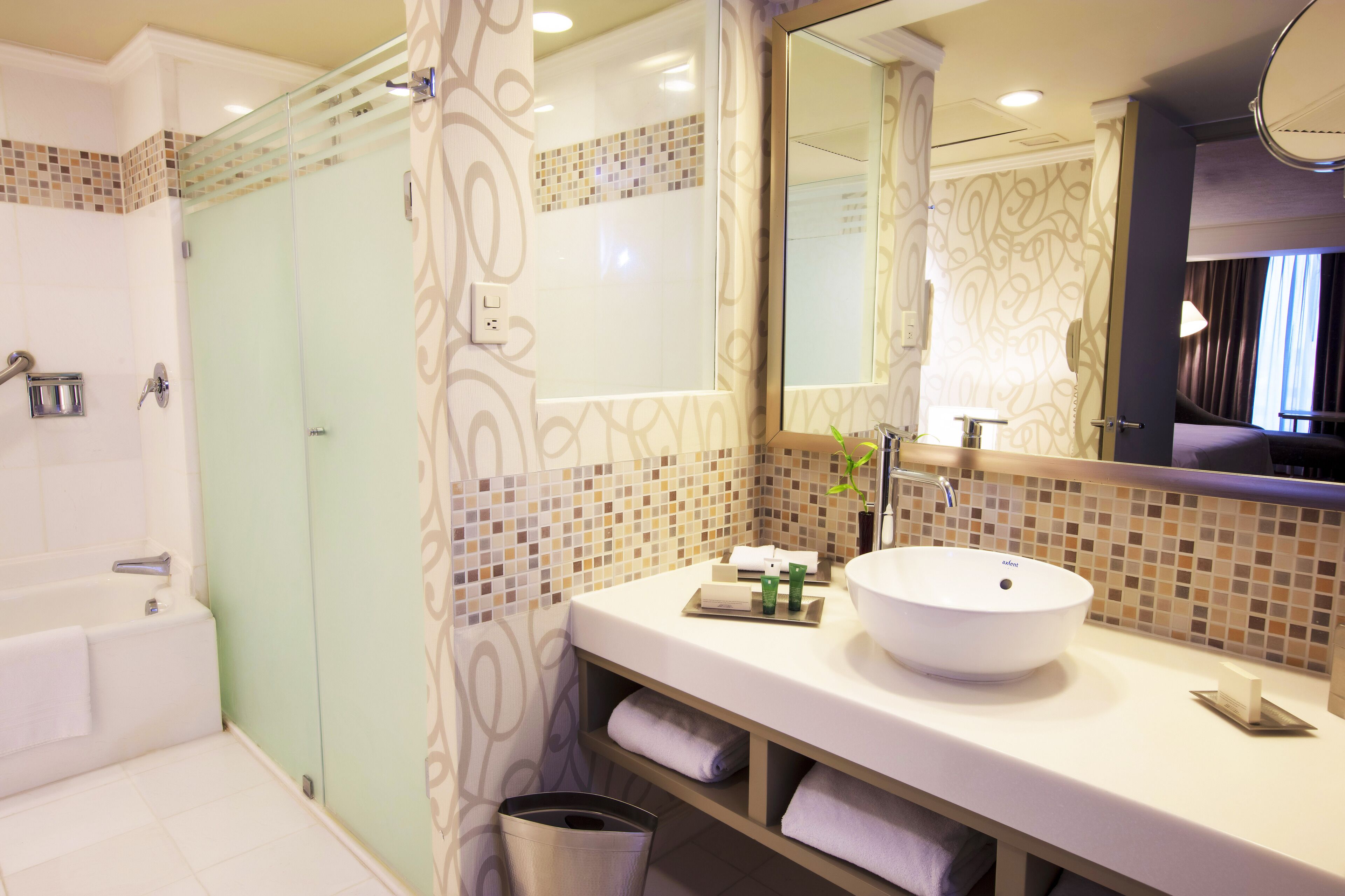 Regadera, secadora de cabello, toallas 