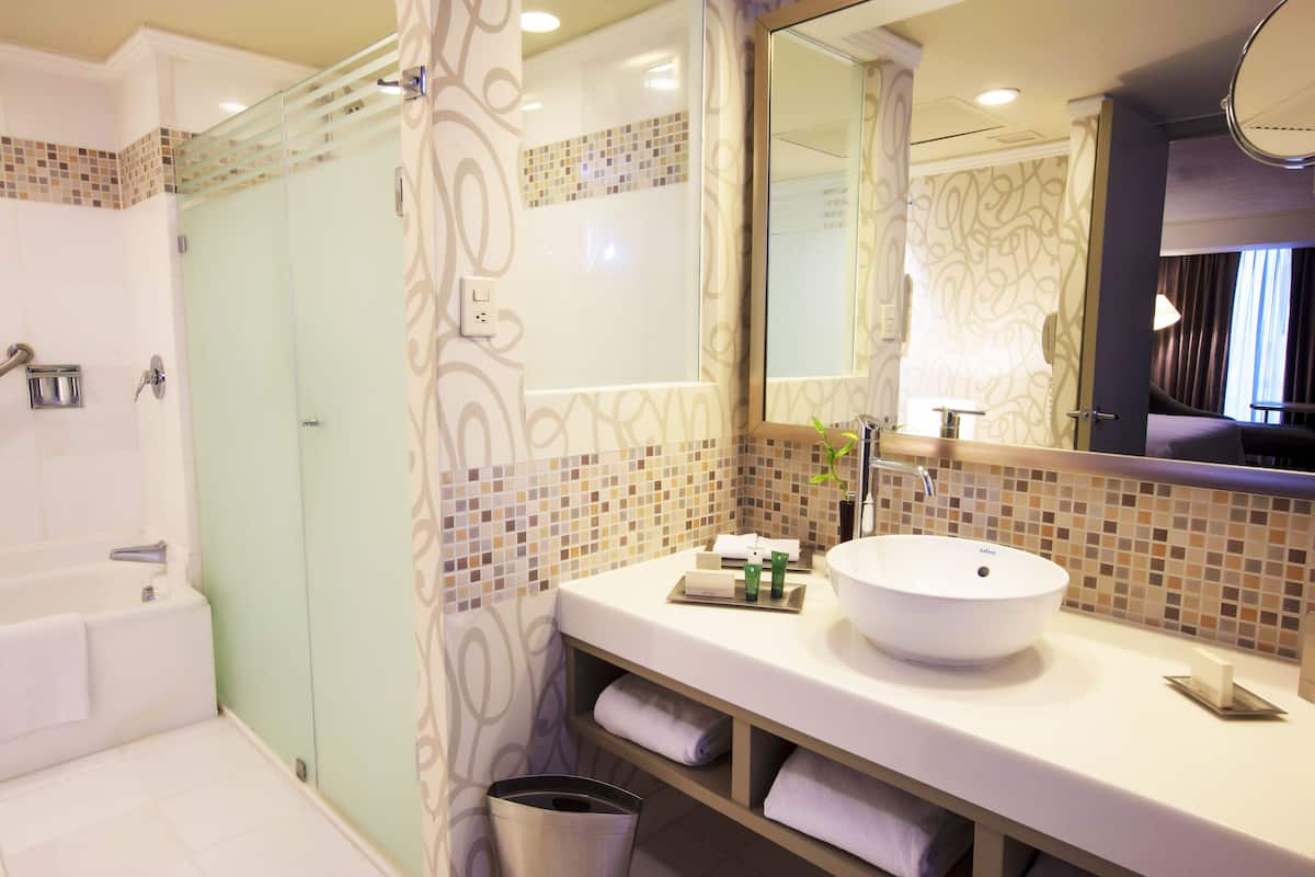 Regadera, secadora de cabello, toallas