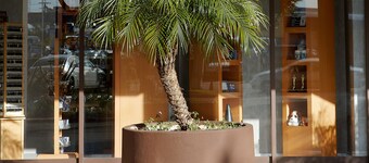 Four Points by Sheraton Los Angeles International Airport