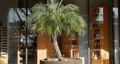 Four Points by Sheraton Los Angeles International Airport