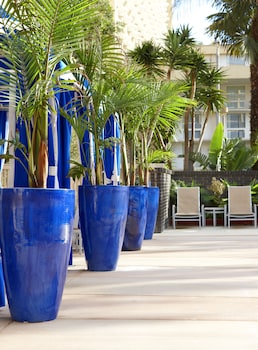 Sundeck at Four Points By Sheraton Los Angeles Intl Airport